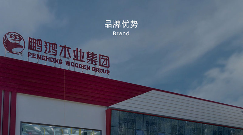 板材品牌、体育品牌、生态板十大品牌